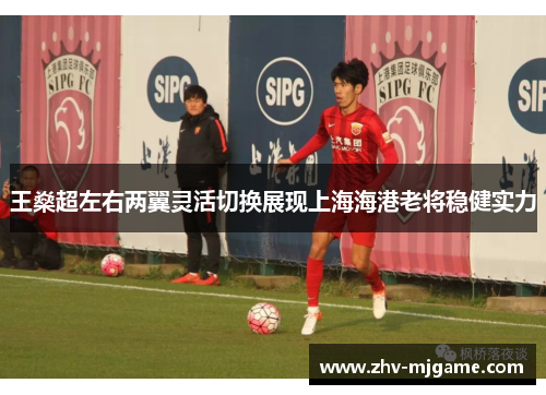王燊超左右两翼灵活切换展现上海海港老将稳健实力 王燊超左右两翼灵活切换展现上海海港老将稳健实力
