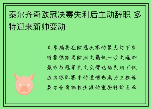 泰尔齐奇欧冠决赛失利后主动辞职 多特迎来新帅变动